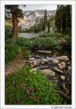 TJ Lake and Creek, Mammoth Lakes Basin