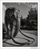 Mammoth, Fair Park, Dallas