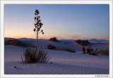 Twilight, White Sands National Monument, New Mexico, 2010