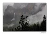 Misty Evening, Yosemite Valley