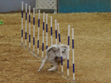 DSC02968_PP_web_q92.jpg