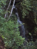 IMG_0536.JPG