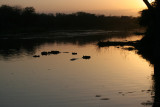 Lake Panic - Kruger National Park