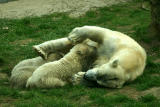Mom nursing