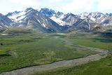 Denali N.P.