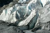 Exit Glacier