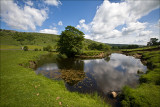 Briclark_View-over-the-Dale-Canon 5D_0031.jpg