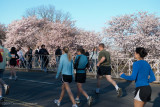 DS20090405_0349p.jpg