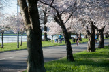DS20090405_0392p.jpg