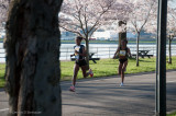 DS20090405_0398p.jpg