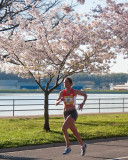 DS20090405_0414p.jpg