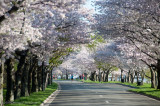 DS20090405_0428p.jpg