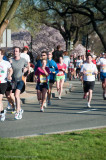 DS20090405_0492p.jpg