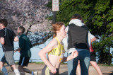DS20090405_0503p.jpg
