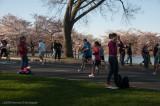 DS20090405_0509p.jpg