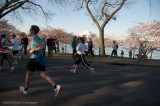 DS20090405_0522p.jpg