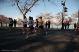 DS20090405_0576p.jpg