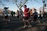 DS20090405_0579p.jpg