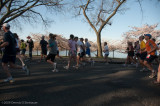 DS20090405_0591p.jpg
