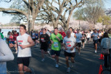 DS20090405_0624p.jpg