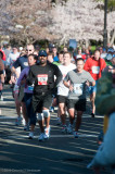DS20090405_0649p.jpg