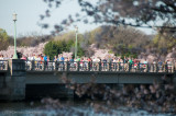 DS20090405_0677p.jpg