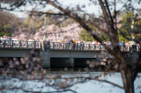 DS20090405_0678p.jpg