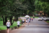 ds20100626-0054w.jpg