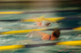 1-8-2011 - Swimmers<br><font size=3>ds20110108-0339.jpg</font>