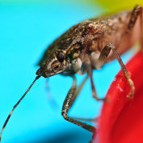 ds20110126-0003w.jpg