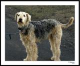 ds20060122_0015awF Bo.jpg