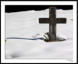 ds20060215_0072awF Winter Cross.jpg