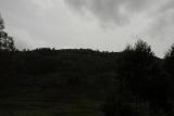 ds20060310 _0080(p).jpg