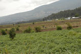 ds20060310 _0173(p).jpg