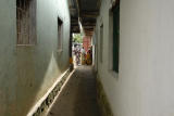 ds20060310 _0247(p).jpg