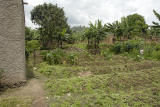 ds20060310 _0251(p).jpg