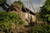 ds20060311a_0158(p).jpg