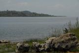 ds20060312_0156(p).jpg