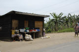 ds20060312_0235(p).jpg