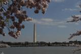 ds20060402e_0265(p).jpg