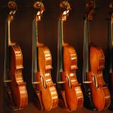 5/5/06 - Karls Violins<br><font size=3>ds20060505a_0251aw Violins in Case.jpg</font>