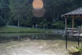 ds20060617a_0015.jpg