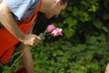 ds20060617a_0174.jpg