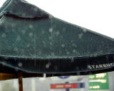 ds20060624a_0036a1w Umbrella in the Rain.jpg