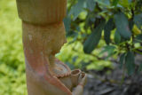 ds20060716_0061(p).jpg