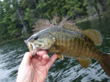 DSCF6167.JPG