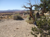 amasa_back_006.jpg