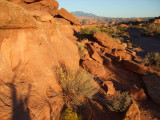 amasa_back_053.jpg