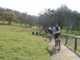 nature trail