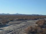 2 days in the Desert Feb 2008